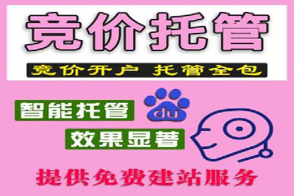 SEM托管代运营助力企业增长案例